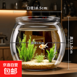 桌面鱼缸家用透明耐摔客厅办公室桌面金鱼水培绿植小型生态造景缸 中号  桌面生态鱼缸