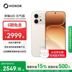 荣耀 600元气版 12GB+256GB 元气白 5G手机