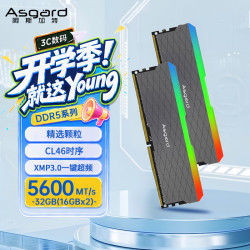 阿斯加特 LOKI W2 DDR5 5600 32GB(16GBx2) CL46 RGB灯条