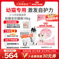 皇家 K36幼猫猫咪干粮 10kg