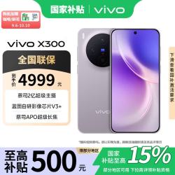 vivo X300 5G手机 12GB+256GB 惬意紫