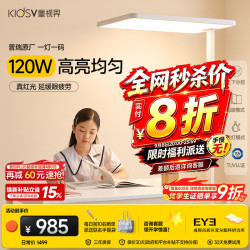 童视界 普瑞红光护眼大路灯 全光谱 120W 落地台灯