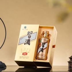 习酒 金装 佳节送礼 53度500ml*2瓶 酱香型纯粮食白酒礼盒