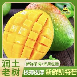 胡鲜森 彩箱 攀枝花凯特芒果特大果新鲜当季应季水果5斤起