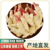 百亿补贴：淘汰琪 山东嫩姜仔姜净重3斤生姜嫩姜红芽姜做泡糖醋姜时应季蔬菜