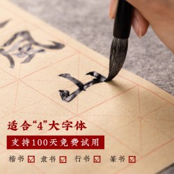 善琏湖笔 得心应手 毛笔书法专用初学者套装狼毫兼毫毛笔入门软笔书法笔羊毫湖笔楷书行书隶书专业全套小楷