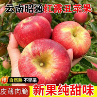 贡鲜果农 云南昭通红露苹果脆果新果丑苹果当季新鲜采摘纯甜味 净重4.5-5斤60-69mm