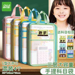 递乐文具 递乐L型科目袋透明文件袋资料袋立体网纱袋初中学习手提袋书袋作业试卷收纳袋4个装 L-WSD028开学文具