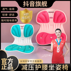 昌峰 CF久坐不累护腰宝妈坐垫舒适透气喂奶坐姿垫办公室座椅神器LL001