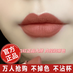 热卖新款不掉色不沾杯口红洗不掉擦不掉自然黄皮素颜显白持久定妆