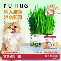 俘获 F2猫草罐头助化排猫咪毛懒人盆栽水土种子培成幼猫零食用品 猫草罐头*1