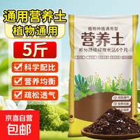 营养土通用型有机土家用盆栽多肉养花种菜专用土壤种植养花泥炭土 营养土5斤