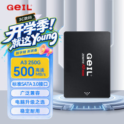 GeIL 高速500MB/S SSD固态硬盘  250GB