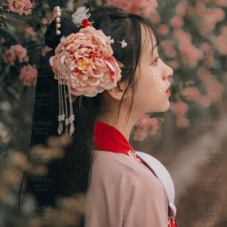 琪越 演出头花大牡丹花唐朝贵妃头饰舞蹈演出假花古装造型宫廷头花发饰