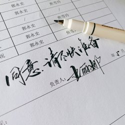 柔绘笔 书法笔 毛笔字 小楷秀丽笔 练字签名笔 顺滑好用软笔 多色