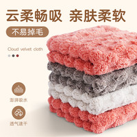 欧凯斯 云朵绒加厚柔软不易掉毛不易留痕吸水强家用厨房专抹布实惠