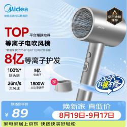 美的 FJ308 5亿等离子护发 星光银 1800W 电吹风