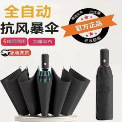 宜享 24骨双龙骨自动雨伞一键全收伞晴雨两用女男士高档全自动大号黑色