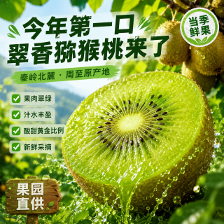 陕西翠香猕猴桃新鲜当季送礼礼盒水果 陕西翠香-5斤礼盒精品装(单果90~110g)