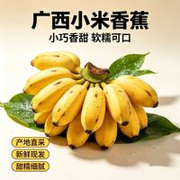 果迎鲜 正宗广西小米蕉 香蕉整箱5斤