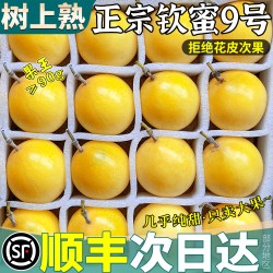 顶掌柜 顺丰黄金钦蜜9号百香果新鲜广西包邮大果5斤纯甜一级现摘整箱当季