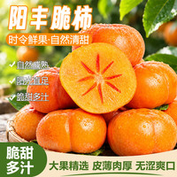 生活&好管家 脆柿 5斤装净重4.5斤