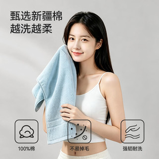京东京造 10A级抗菌 新疆长绒棉 2条装 毛巾