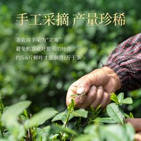 88VIP：香飘飘 东方美人轻乳茶 原叶现泡 奶茶饮料