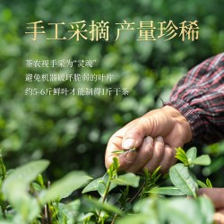 香飘飘 东方美人轻乳茶 原叶现泡 奶茶饮料