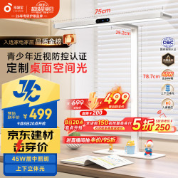 孩视宝 护眼台灯大路灯国AA级学习灯儿童家用智能灯JD66-45W