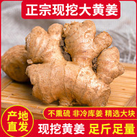 言片光 新鲜现挖大黄姜云南生姜老姜生鲜蔬菜 5斤