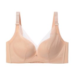 芬狄诗 安莉芳官方奥莱芬狄诗光面无痕内衣大胸承托收副乳文胸