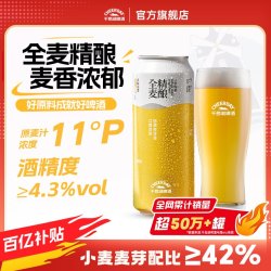 千岛湖啤酒 全麦精酿500ml*12罐优选进口麦芽官方旗舰店团购送礼
