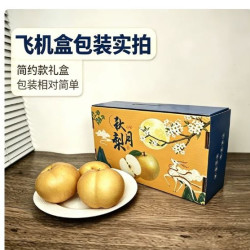 寻天果蔬 山东秋月梨 新鲜应季水果 大果350g+ 2.7斤 整箱装