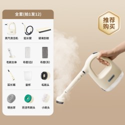 BLAUPUNKT 高温高压 蒸汽清洁机