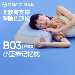 网易严选 B03小蓝棒深睡枕3.0记忆棉枕慢回弹颈椎枕 中秋礼盒装 8/10cm可选