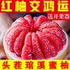 【胡鲜森】福建平和红心柚子新鲜蜜柚水果当季应季红肉4.5斤【5天内】