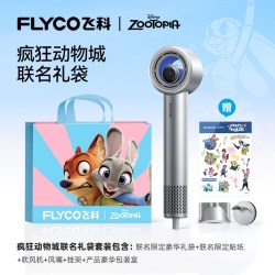 飞科 高速 吹风机