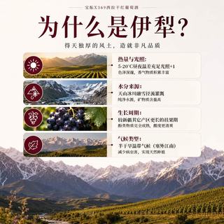 宝酝 西拉干红葡萄酒 新疆伊犁河谷产区 187ml