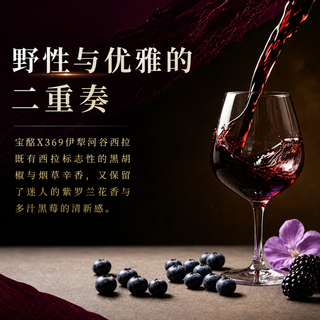 宝酝 西拉干红葡萄酒 新疆伊犁河谷产区 187ml