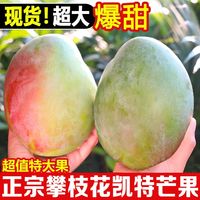 舟雨农业 凯特芒 四川攀枝花地标授权 生鲜水果