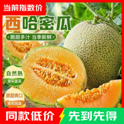正宗海南新疆哈密瓜晓蜜瓜西州蜜瓜 新鲜脆甜爽口多汁 带箱5-6斤家庭装