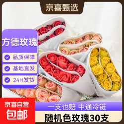  30支 35-40cm随机玫瑰