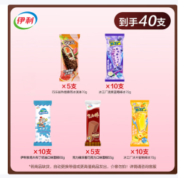 伊利 冰淇淋 雪糕 共40支（2625g）
