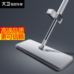 大卫 平板免手洗拖把 懒人拖布吸水 P10真干净平拖（共2块拖布） 10cm