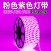 LABOT拉伯塔 LED灯带 紫色 220V 户外防水