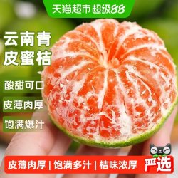 寻天果蔬 云南橘子青皮蜜桔橘子青桔新鲜水果应当季丑新鲜水果