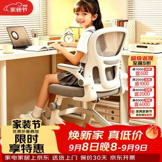 卓名 电脑椅学习椅办公椅可升降工学座椅学生作业靠背椅子ZY01灰色