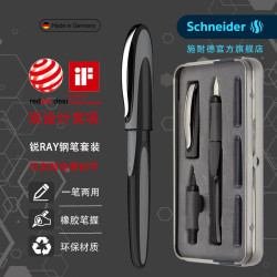 施耐德 Schneider施耐德RAY锐钢笔成人练字双笔头套装一笔两用商