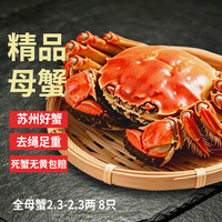 蟹澄天 大闸蟹 全母蟹2.3-2.6两 8只 去绳足重鲜活六月黄螃蟹海鲜礼盒源头直发